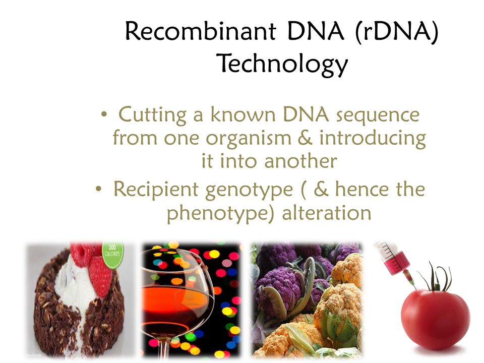 Recombinant DNA (rDNA) Technology