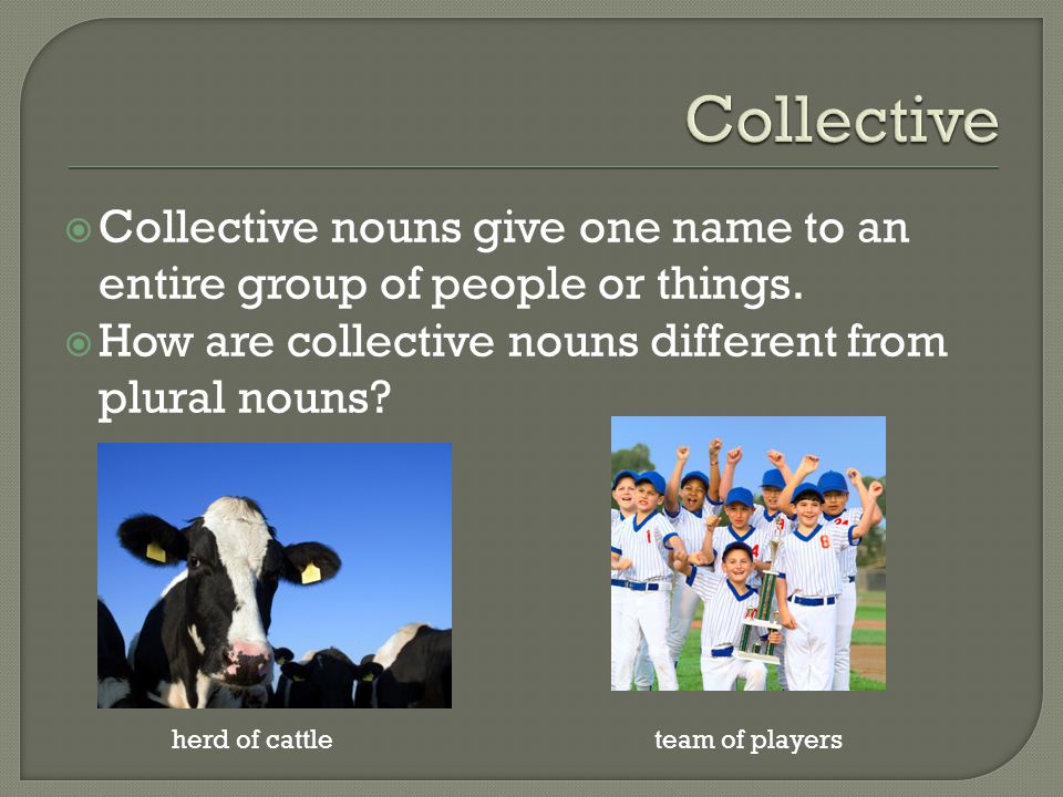 Collective Collective nouns give one name to an entire group of people or things. How are collective nouns different from plural nouns