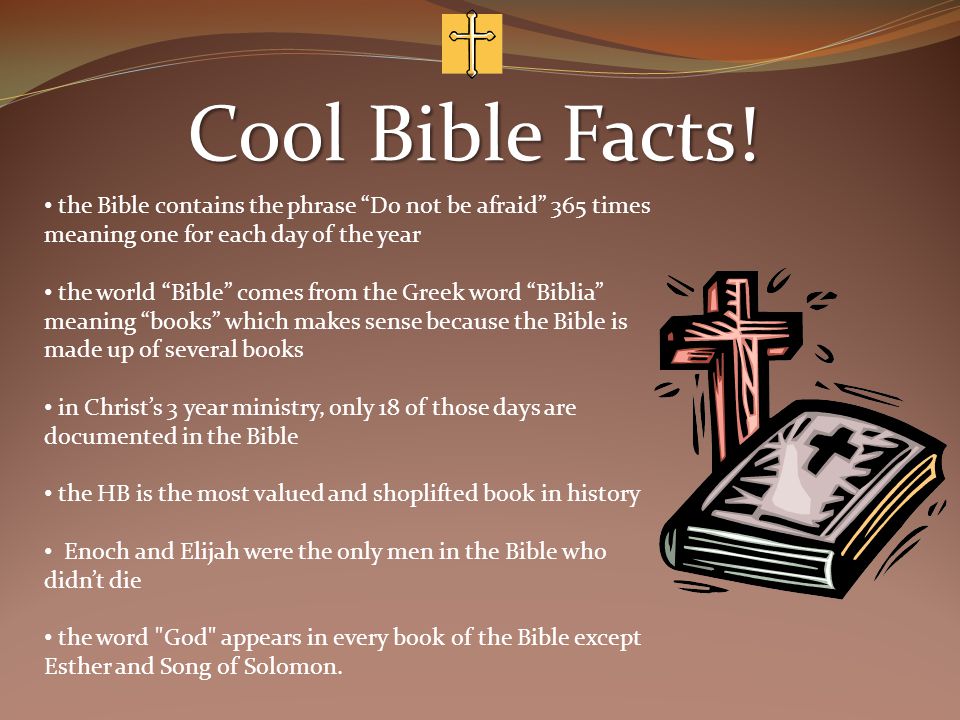 Cool Bible Facts! the Bible contains the phrase Do not be afraid 365 times meaning one for each day of the year.