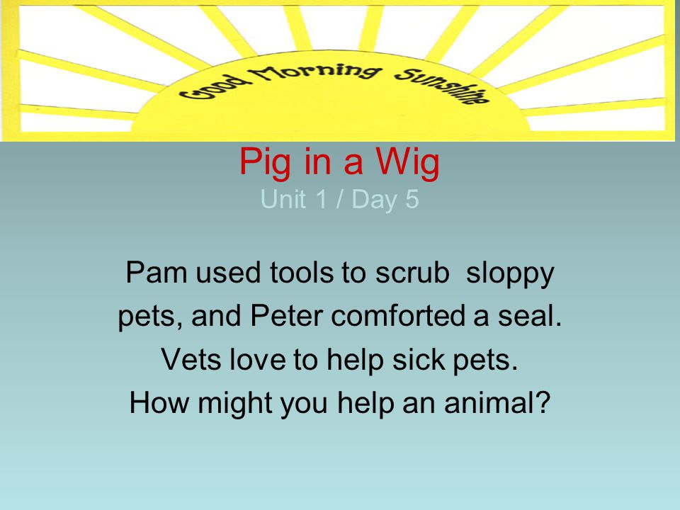 Pig in a Wig Unit 1 / Day 5 Pam used tools to scrub sloppy