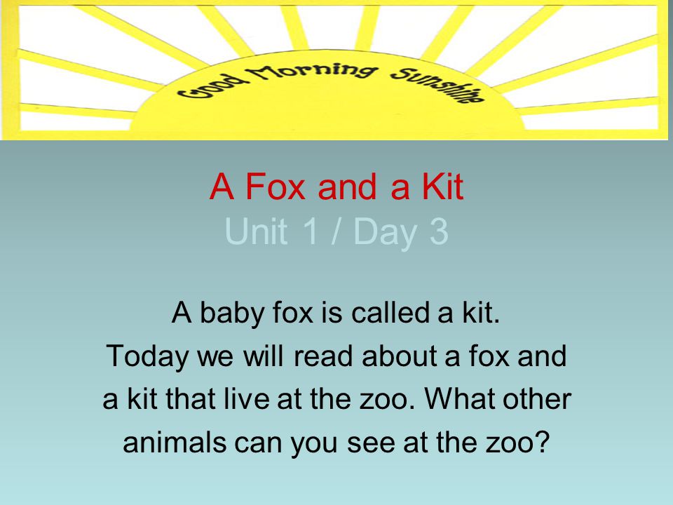 A Fox and a Kit Unit 1 / Day 3 A baby fox is called a kit.