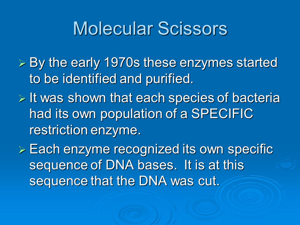 Molecular Scissors By the early 1970s these enzymes started to be identified and purified.