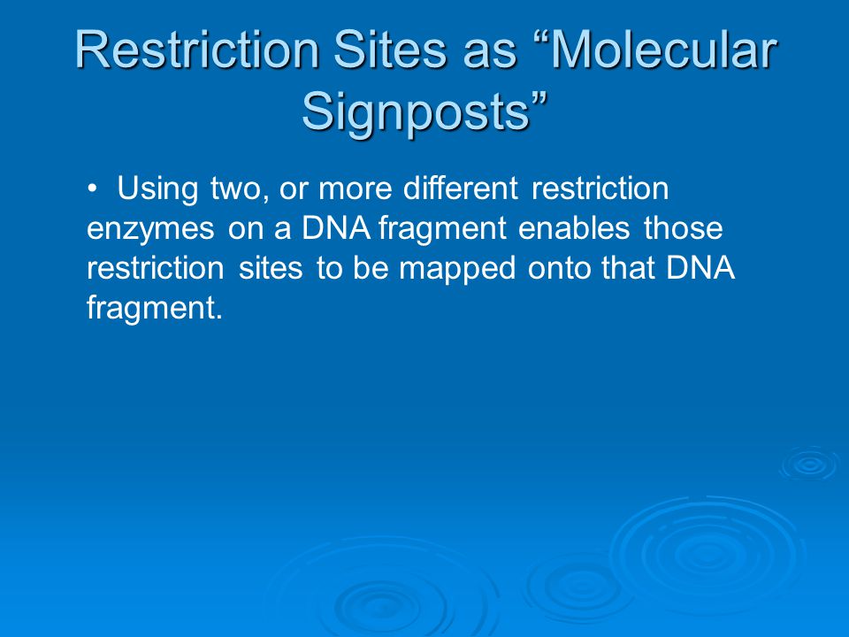 Restriction Sites as Molecular Signposts
