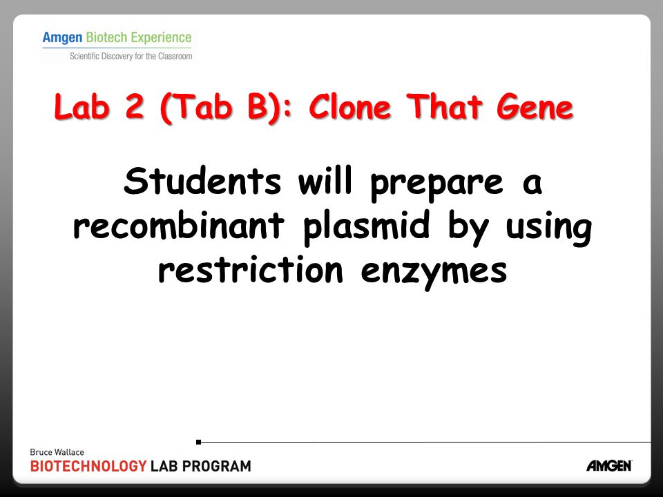 Lab 2 (Tab B): Clone That Gene