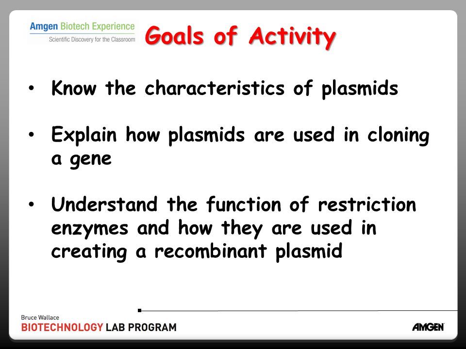 Goals of Activity Know the characteristics of plasmids