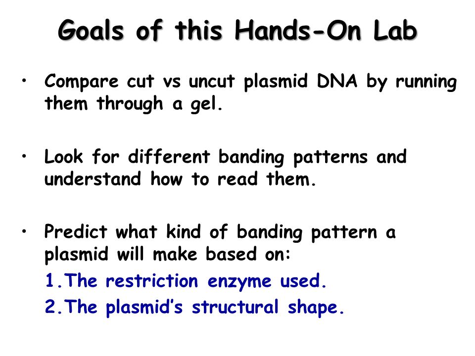 Goals of this Hands-On Lab