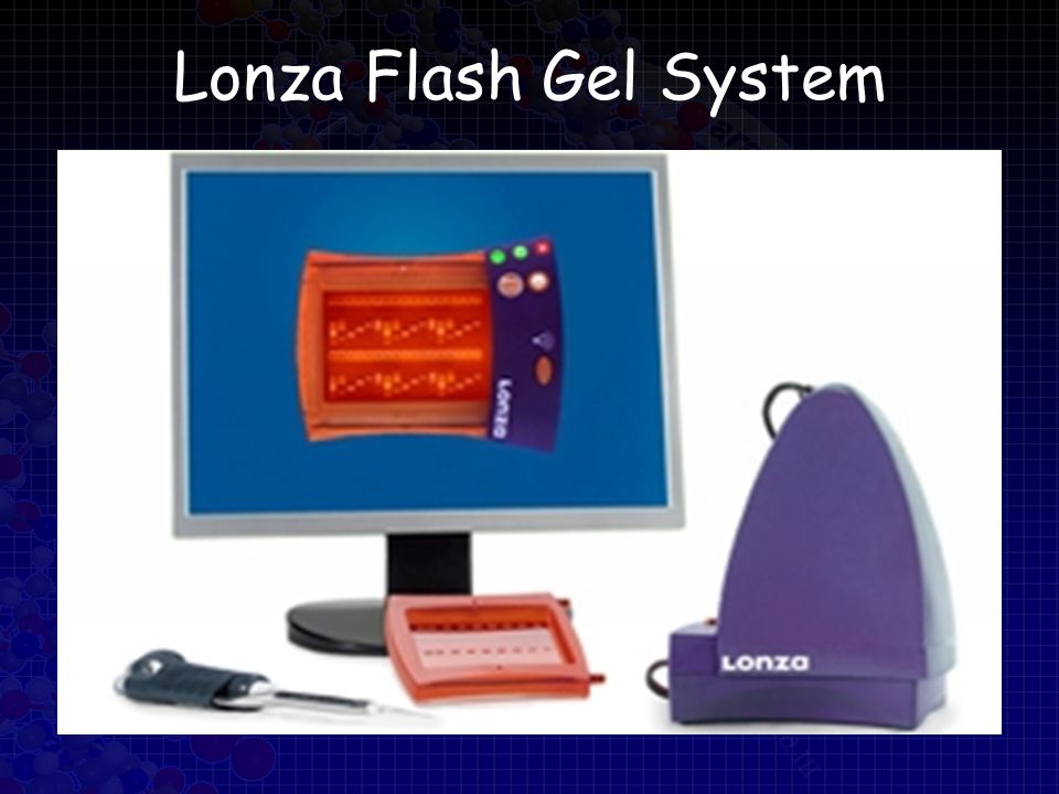 Lonza Flash Gel System