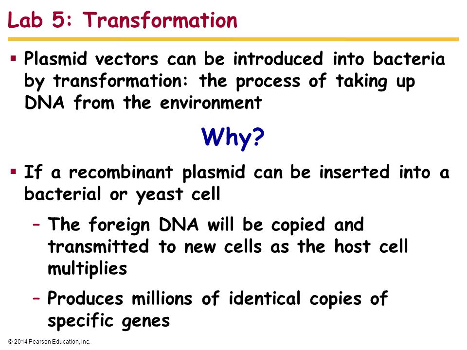 Why Lab 5: Transformation