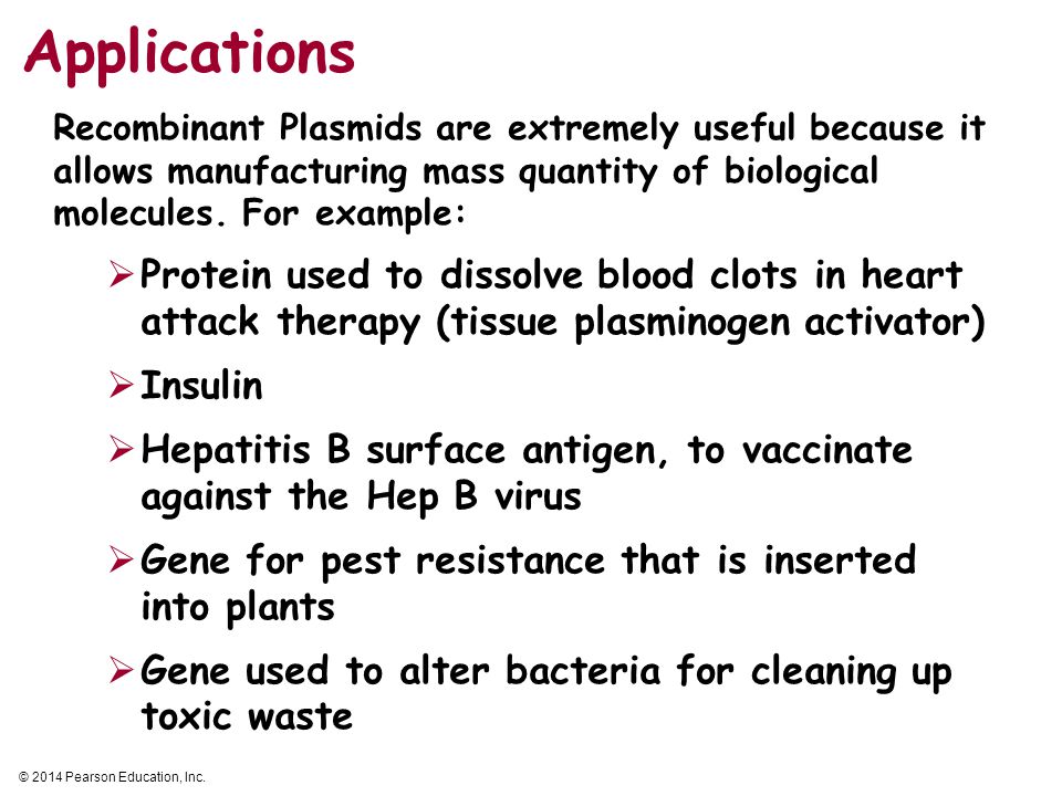 Applications Recombinant Plasmids are extremely useful because it allows manufacturing mass quantity of biological molecules. For example: