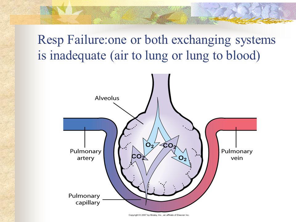 Resp Failure:one or both exchanging systems is inadequate (air to lung or lung to blood)
