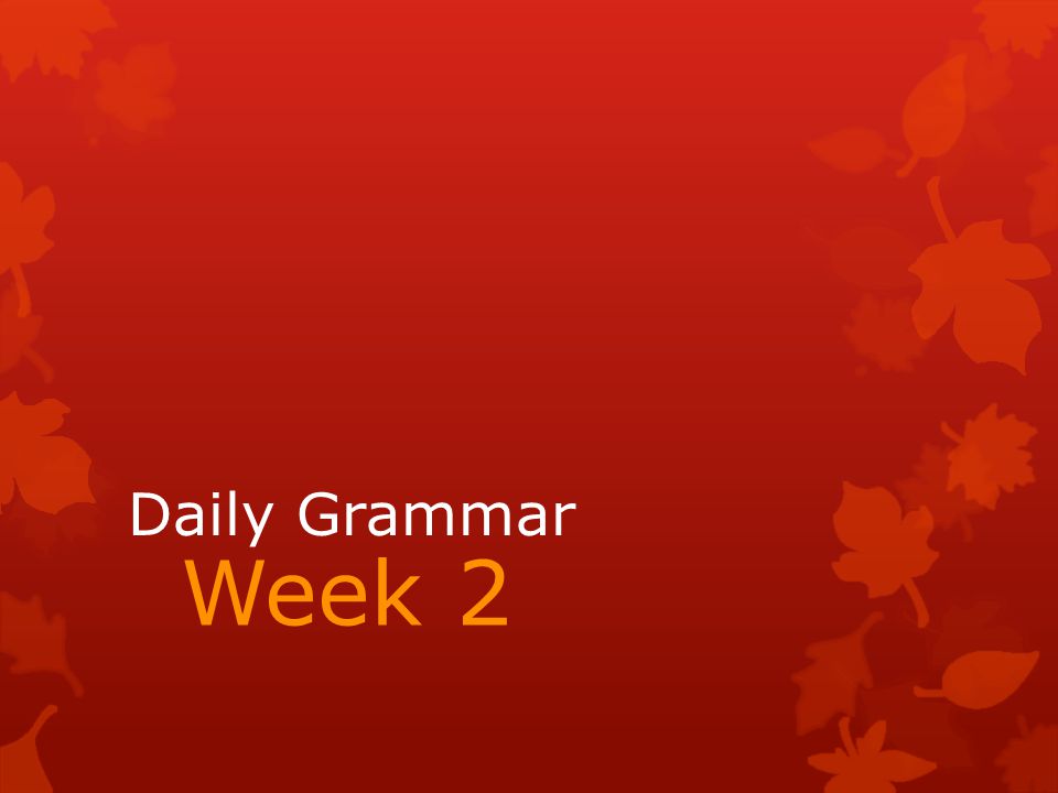 Daily Grammar Week 2