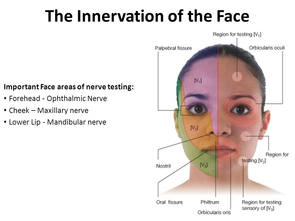 Avoiding danger facial facial in injury nerve plastic surgery zone