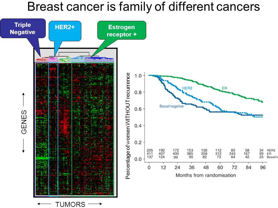Breast cancer is family of different cancers
