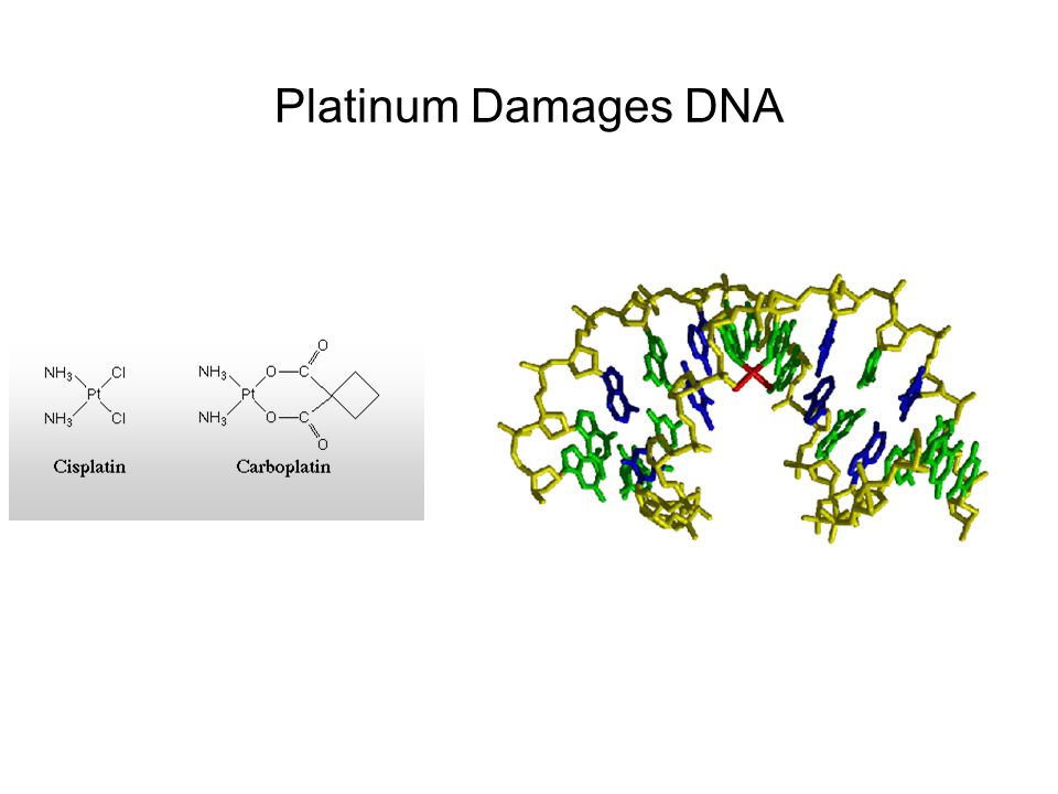 Platinum Damages DNA