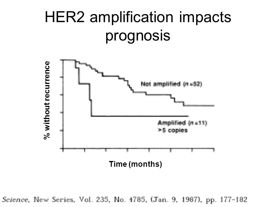 HER2 amplification impacts prognosis