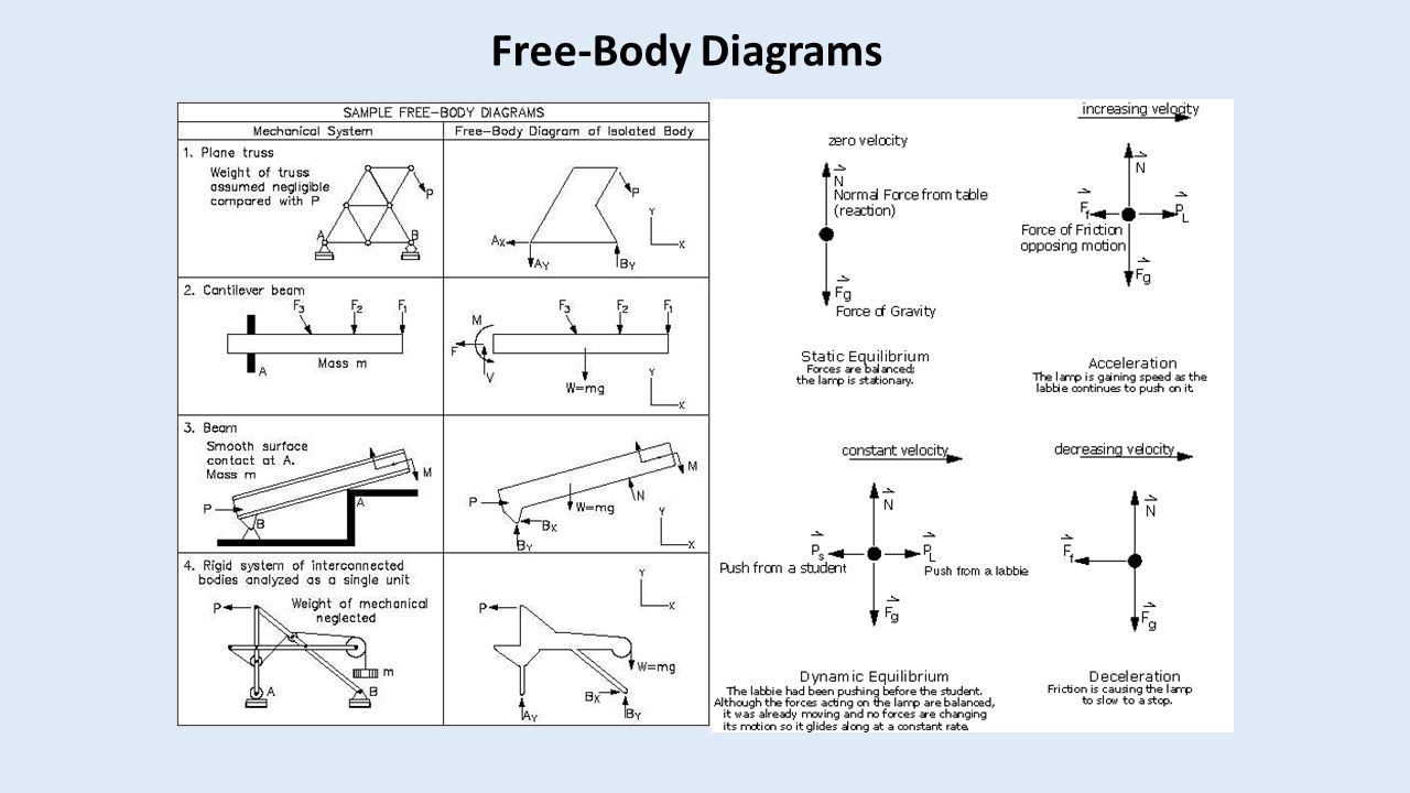 Free-Body Diagrams