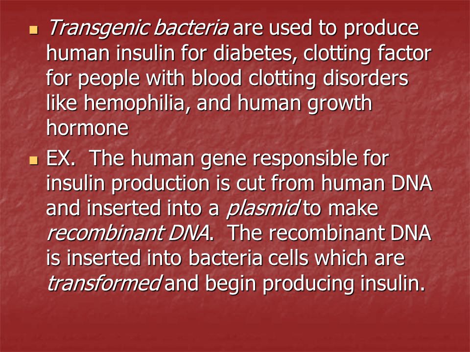 Transgenic bacteria are used to produce human insulin for diabetes, clotting factor for people with blood clotting disorders like hemophilia, and human growth hormone