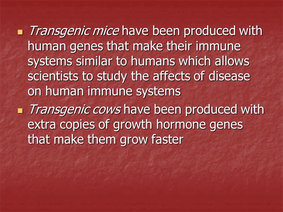 Transgenic mice have been produced with human genes that make their immune systems similar to humans which allows scientists to study the affects of disease on human immune systems