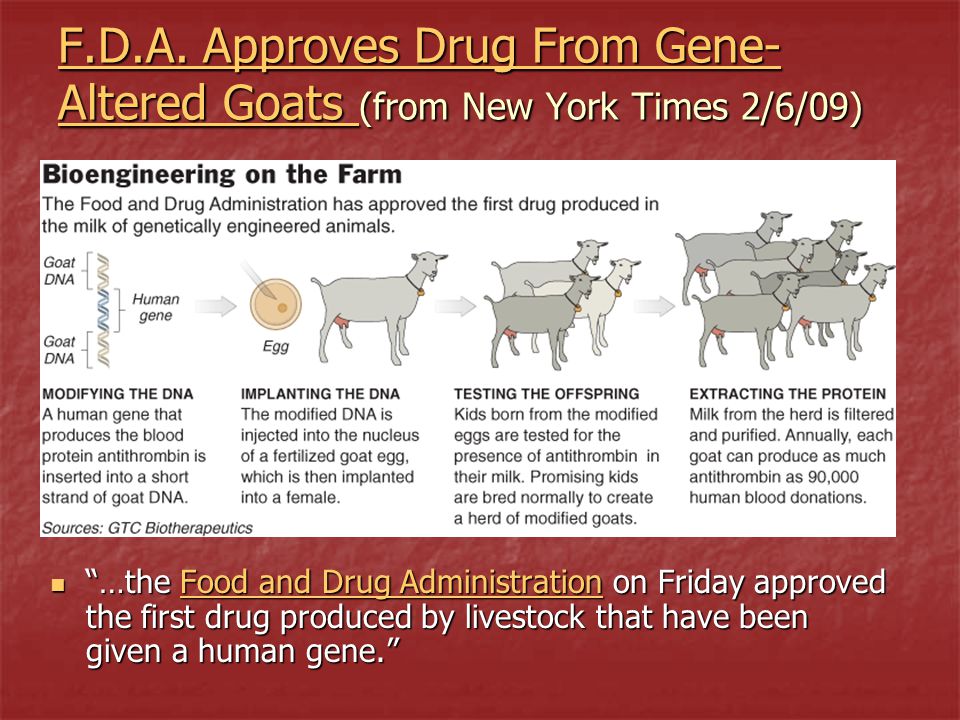 F.D.A. Approves Drug From Gene-Altered Goats (from New York Times 2/6/09)