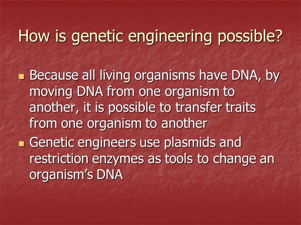 How is genetic engineering possible