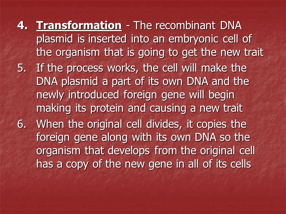Transformation - The recombinant DNA plasmid is inserted into an embryonic cell of the organism that is going to get the new trait