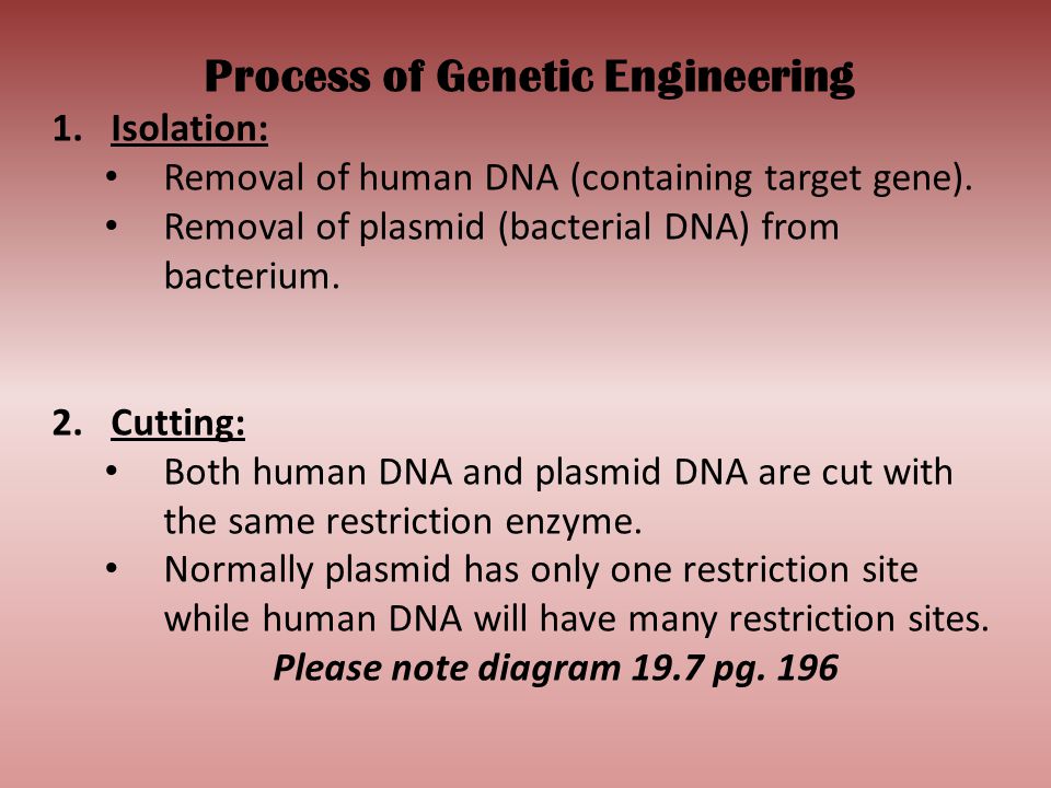 Process of Genetic Engineering