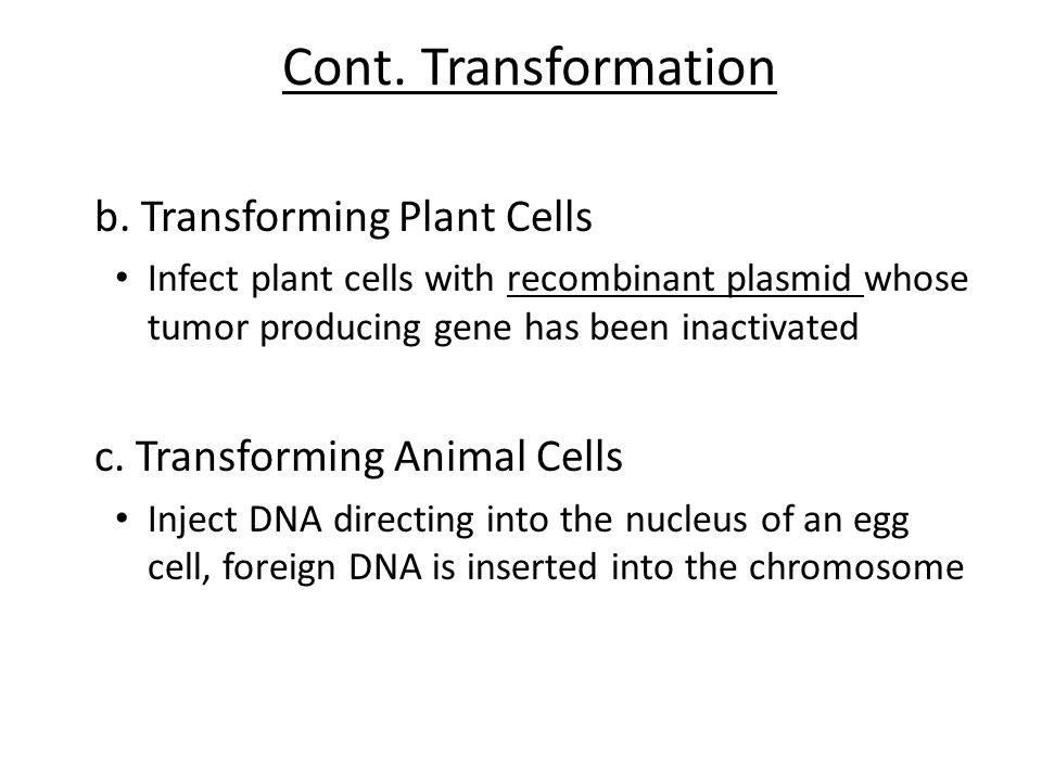 Cont. Transformation b. Transforming Plant Cells