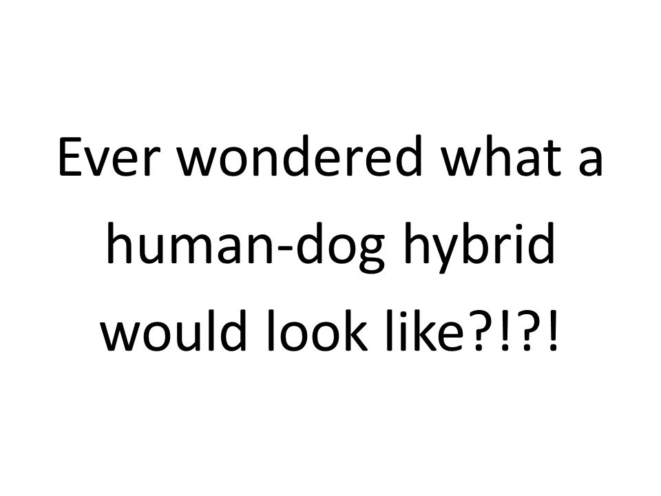 Ever wondered what a human-dog hybrid would look like ! !