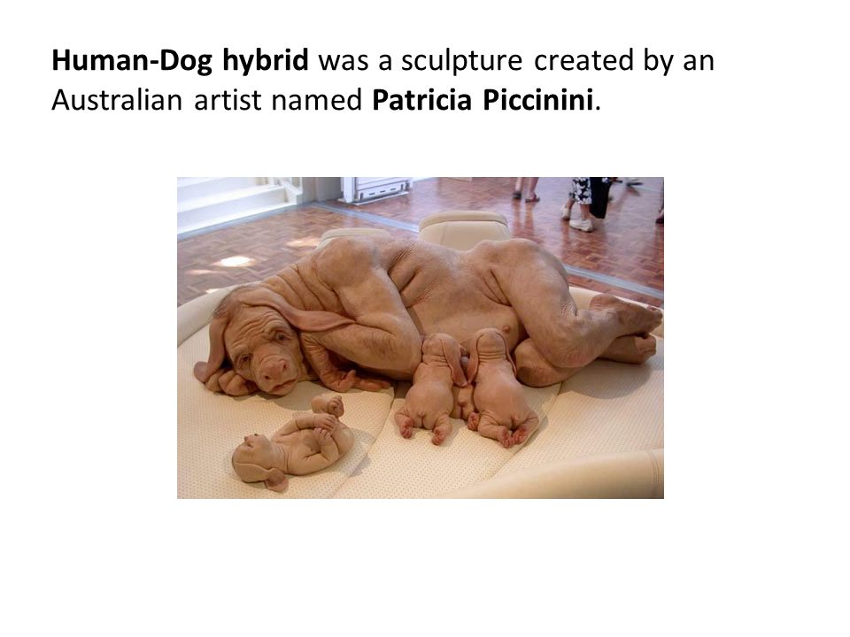 Human-Dog hybrid was a sculpture created by an Australian artist named Patricia Piccinini.