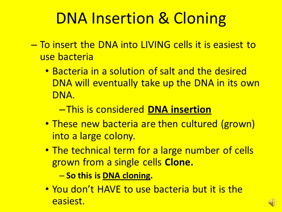 DNA Insertion & Cloning