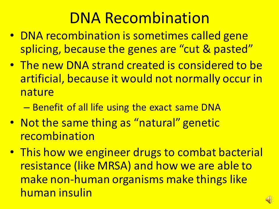DNA Recombination DNA recombination is sometimes called gene splicing, because the genes are cut & pasted