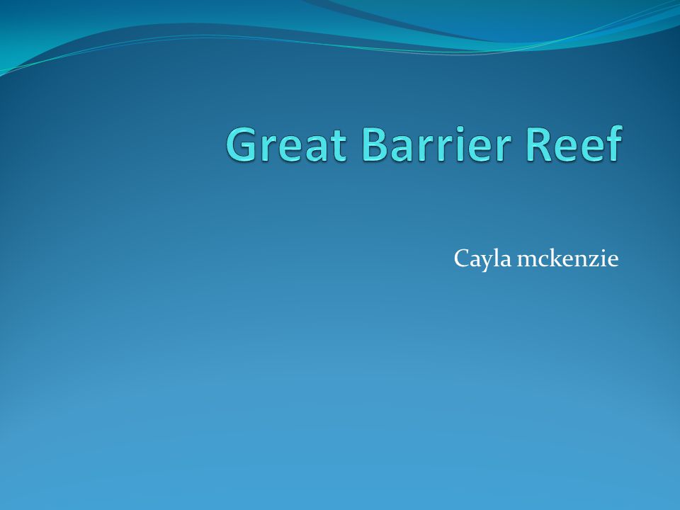 Great Barrier Reef Cayla mckenzie
