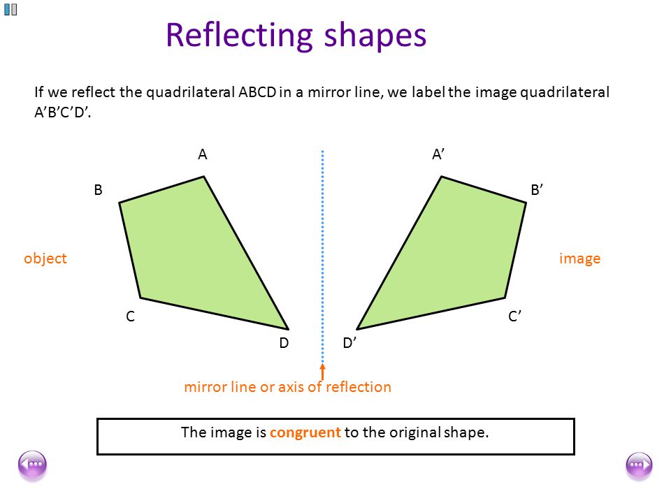 a dividing line,PunchLine reflection symmetry if you can draw a line through a shape so