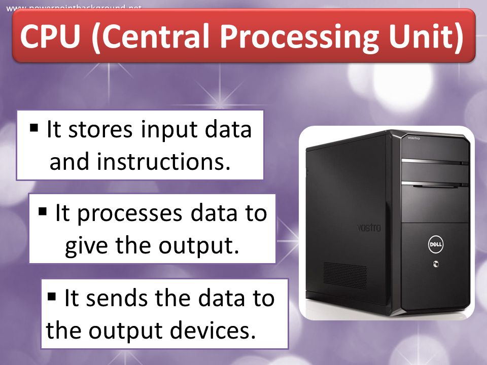 CPU (Central Processing Unit)