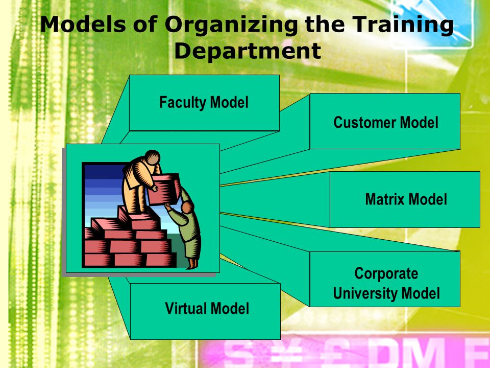 Models of Organizing the Training Department