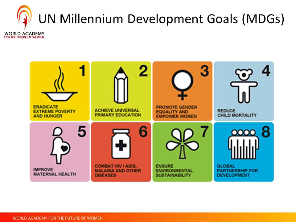 UN Millennium Development Goals (MDGs)