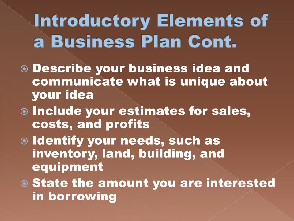Introductory Elements of a Business Plan Cont.