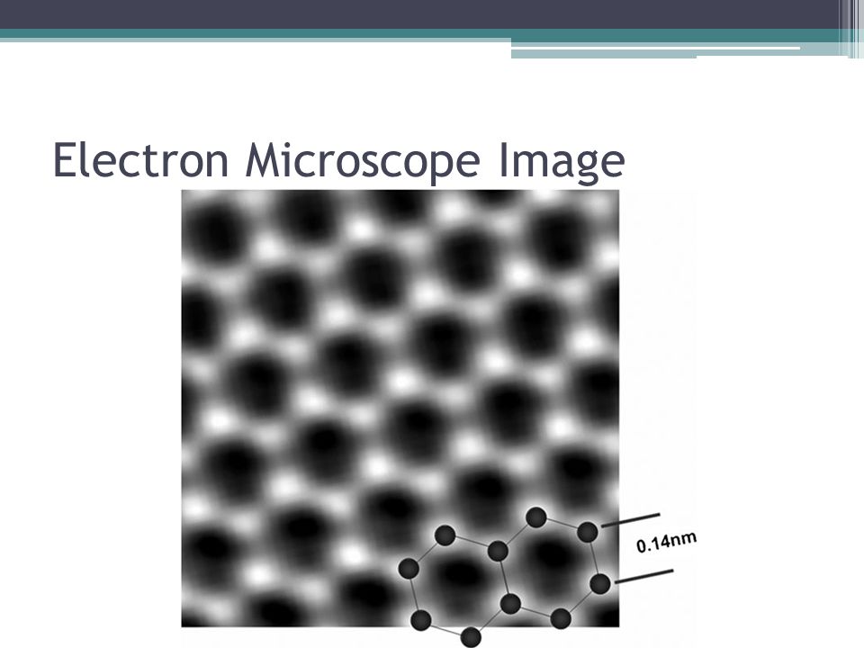 Electron Microscope Image