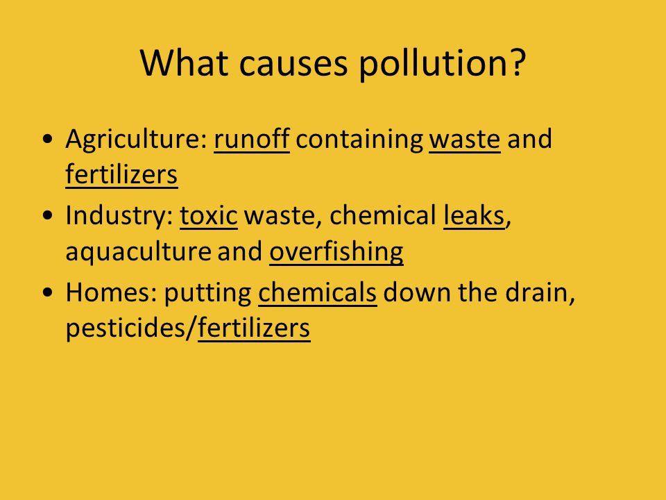 What causes pollution Agriculture: runoff containing waste and fertilizers. Industry: toxic waste, chemical leaks, aquaculture and overfishing.