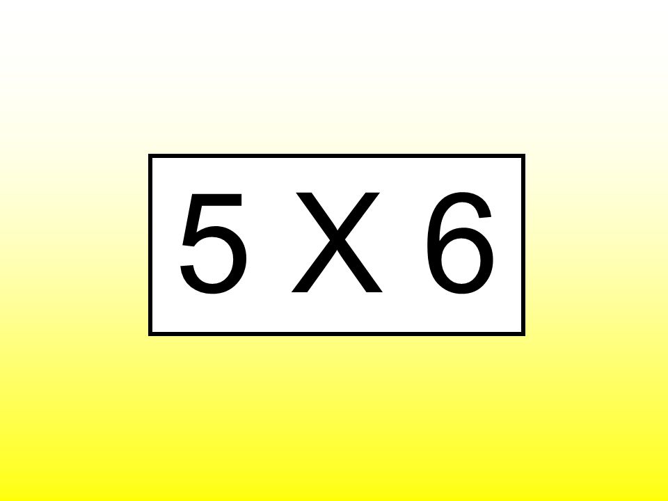5 X 6