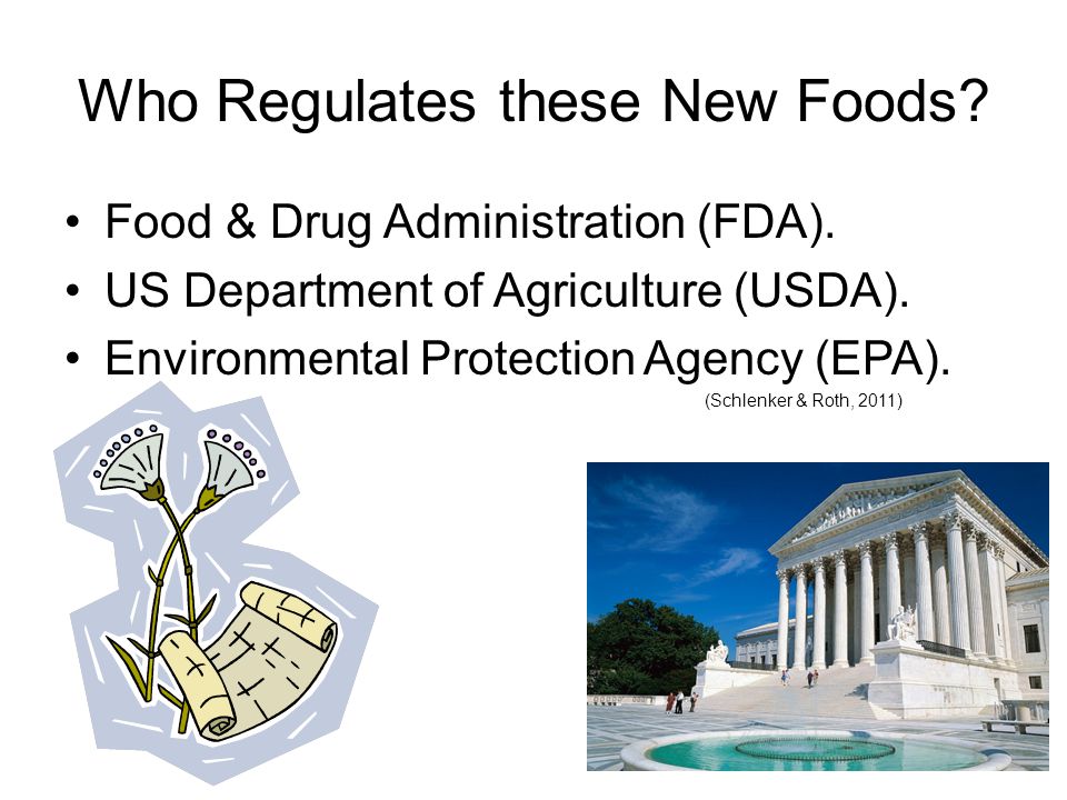 Who Regulates these New Foods