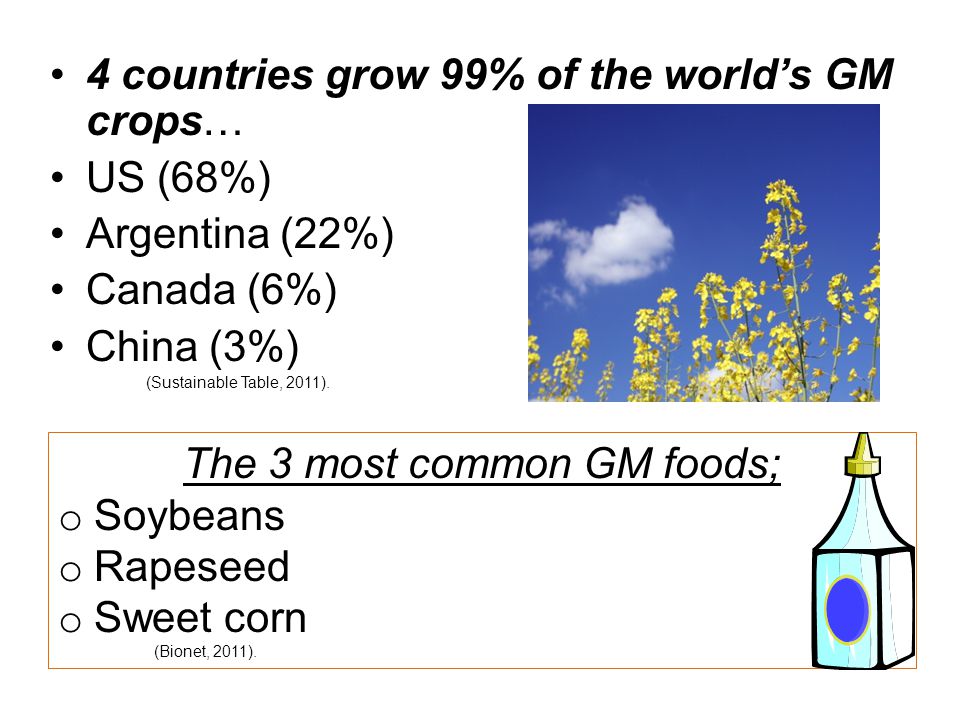 The 3 most common GM foods;