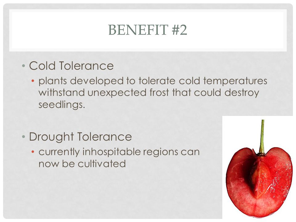 Benefit #2 Cold Tolerance Drought Tolerance
