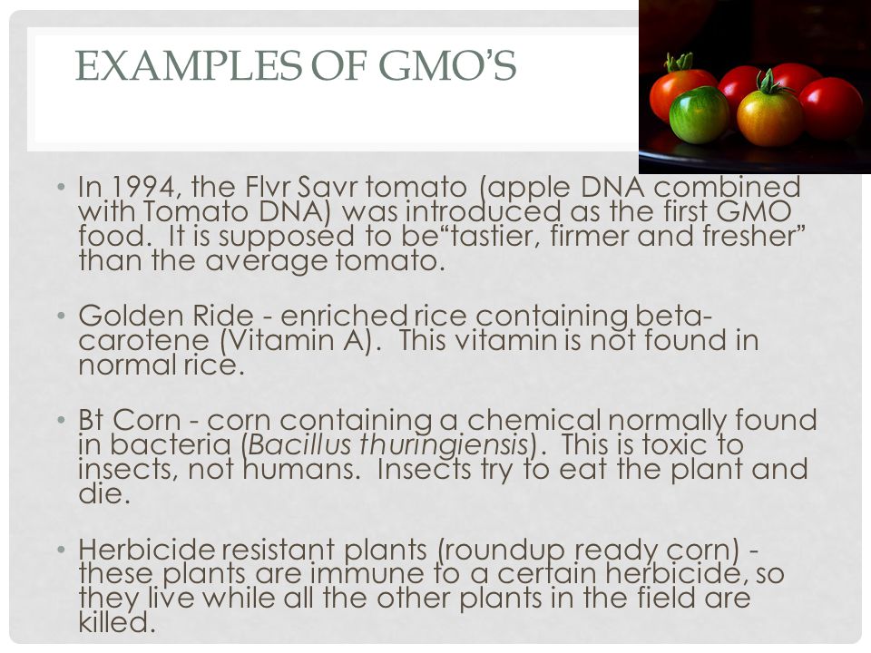 Examples of GMO’s