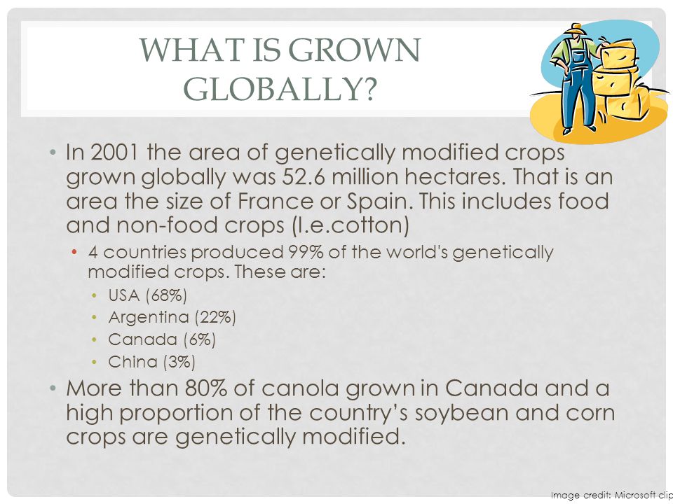 What is grown globally