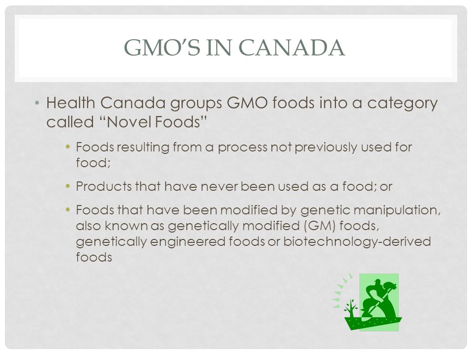 GMO’s In Canada Health Canada groups GMO foods into a category called Novel Foods Foods resulting from a process not previously used for food;