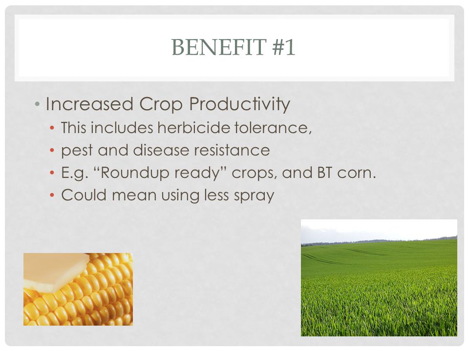Benefit #1 Increased Crop Productivity