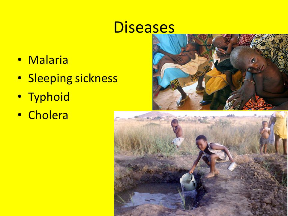 Diseases Malaria Sleeping sickness Typhoid Cholera
