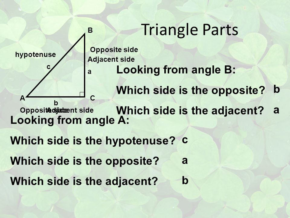 Triangle Parts Looking from angle B: Which side is the opposite