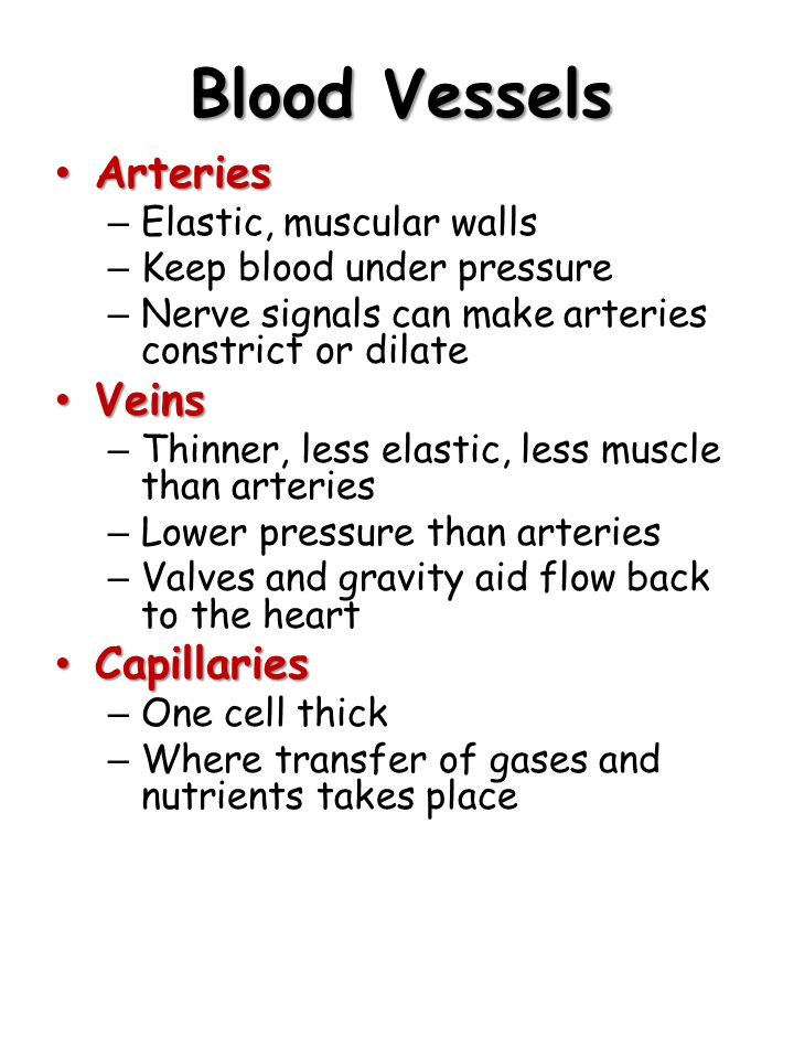 Blood Vessels Arteries Veins Capillaries Elastic, muscular walls